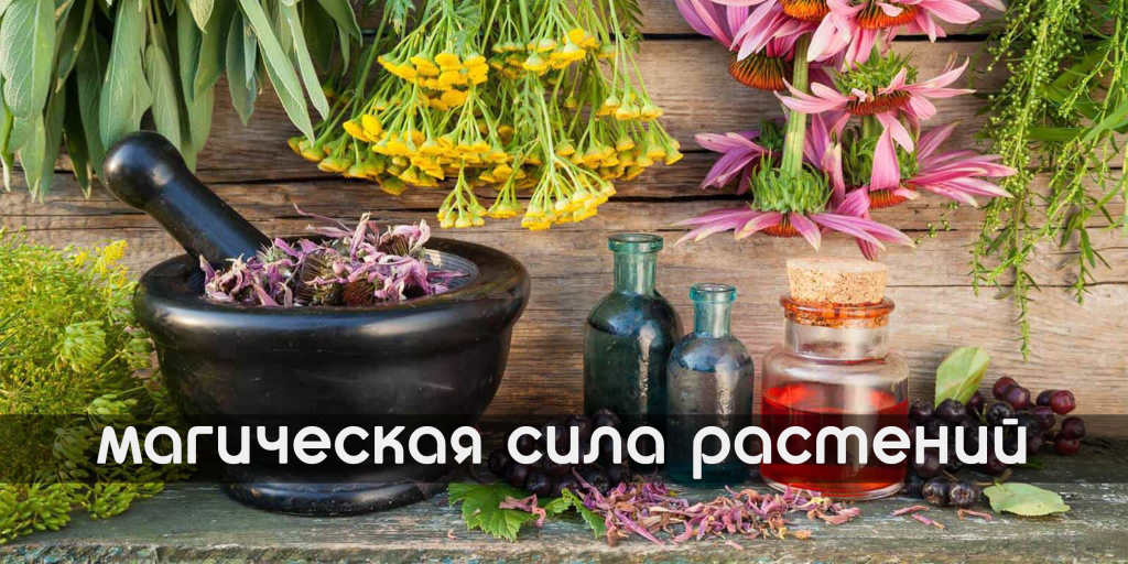 МАГИЯ РАСТЕНИЙ